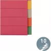 LEITZ itin tvirti kartoniniai registro skirtukai, tušti skirtukai, A4, 10 dalių, įvairiaspalviai, 230 gsm, 5 spalvų dažytas kartonas (4359-00-00)