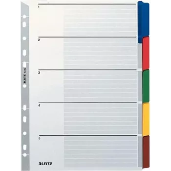 LEITZ Mylar kartoniniai skirtukai, tušti, A4, 5 dalių, pilki skirtukai, 160 gsm, su rašomu viršelio lapu 4320-00-00