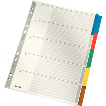 LEITZ Mylar kartoniniai skirtukai, tušti, A4, 5 dalių, pilki skirtukai, 160 gsm, su rašomu viršelio lapu 4320-00-00