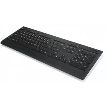 Lenovo Professional Wireless Keyboard 2,4 GHz QWERTZ Black