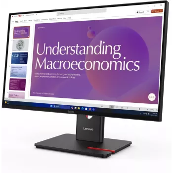 Lenovo T24D-40 23.8 inch WUXGA IPS Monitorius su USB Hub ir Ergonomišku Stovu