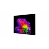 LG OLED83G61LW 83 colių OLED evo 4K Išmanusis televizorius (webOS 23, α9 AI procesorius Gen6, Dolby Vision/Atmos, 120Hz, G6 galerijos dizainas)