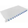 LogiLink F12LC2G 19 colių 1U stovo optinis sujungimo modulis LC-Duplex 12 prievadų Single Mode OS2, pilnai komplektuotas, šviesiai pilkas