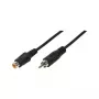 LogiLink Audio prailginimo laidas RCA kištukas į RCA lizdą, 10 m, juodos spalvos
