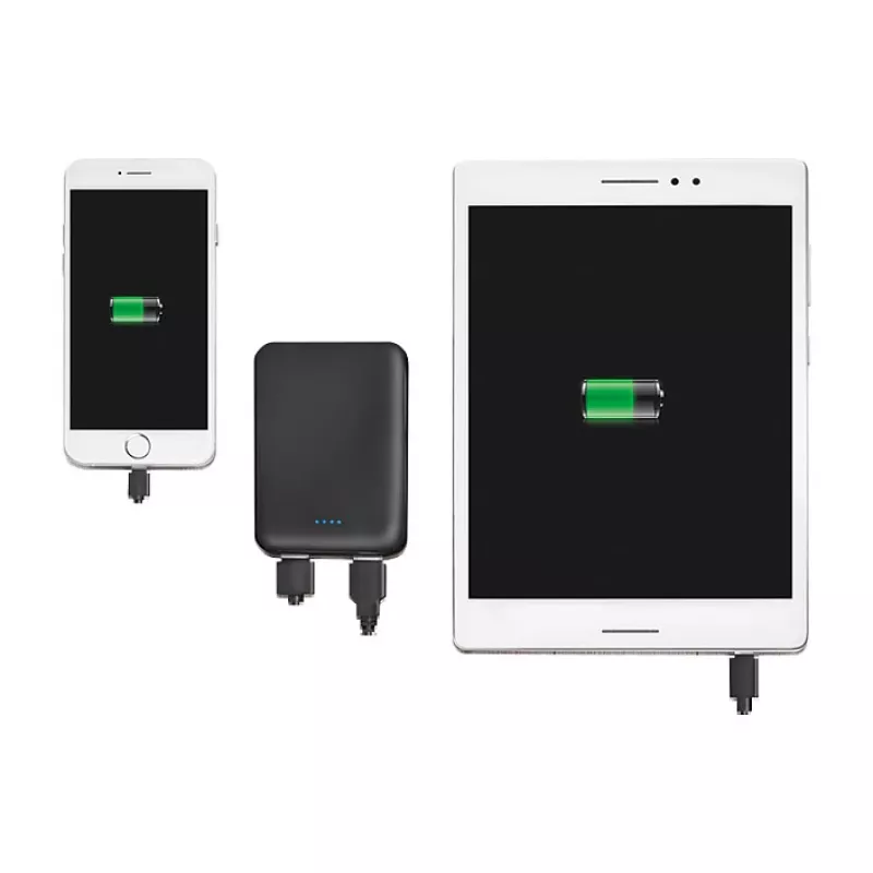 LogiLink PA0202 Power Bank 5000mAh juodos spalvos