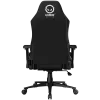 LORGAR CHA41 Ergonomic Gaming Chair Advanced, Premium Anti-Stain Fabric, Black/White