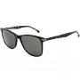 LOZZA SL4162M-0786 Vyriški akiniai nuo saulės – Havana acetatinis rėmelis, rudi polikarbonatiniai lęšiai, UV400 apsauga, 58/18/140 mm