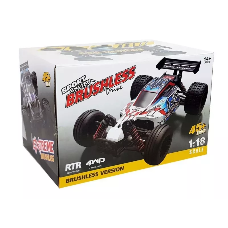 MAISTO nuotoliniu valdymu valdomas ralio automobilis 1:18