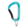 Mammut Mini Carabiner Classic Keylock S - sidabrinė/pilka