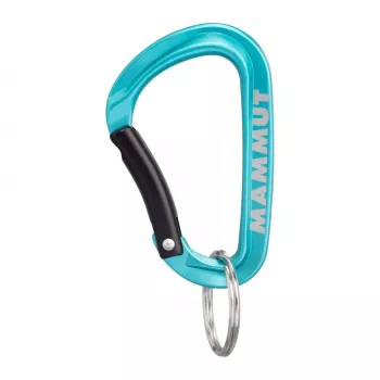 Mammut Mini Carabiner Classic Keylock S - sidabrinė/pilka