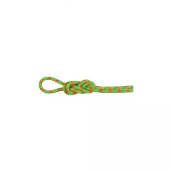 Virvė Mammut Virve 8.0 Alpine Core Protect Dry 70 m