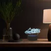 Manta SNL64RGB LED lempa 3D RGB dekoratyvinė automobiliui