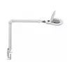 MAUL LED didinamoji lempa Source Dimmable White
