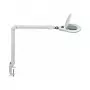 MAUL LED didinamoji lempa Source Dimmable White
