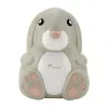 Momini kompresorinis purkštuvas (nebulizatorius) NebuBunny