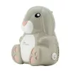 Momini kompresorinis purkštuvas (nebulizatorius) NebuBunny