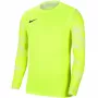 Nike Dry Park IV JSY LS GK Lime Goalkeeper vartininko megztinis CJ6066 702 L