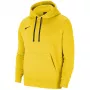 NIKE Park 20 džemperis su gobtuvu University Gold CW6957 719