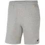 Nike Park 20 vyriški futbolo šortai pilki 2XL
