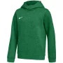 Nike Park 26 flisinis džemperis su gobtuvu vaikams žalias XS