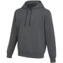 Nike Park 26 Fleece vyriškas gobtuvas tamsiai pilkas IO9035 071 XL