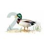 Ollo Cat Pouch No. 2 Duck 85 g – Pilnavertis šlapias maistas padaže