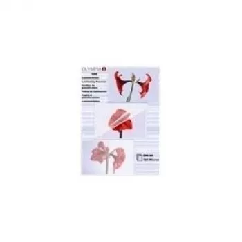 Olympia 9178 laminavimo kišenės A6, skaidrios, 100 vienetų, 80 mikronų