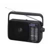 Panasonic RF-2400DEG-K nešiojamas analoginis AM/FM radijas - juodas