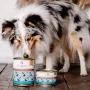 PERRO Beef with Parsley Root šlapias šunų ėdalas 850g