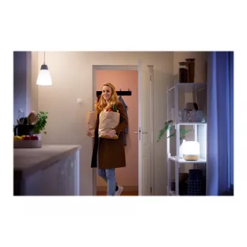 Philips Smart Wireless Motion Sensor, White | Kur.lt