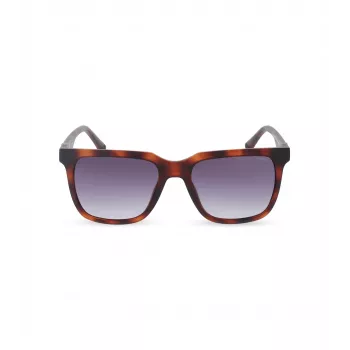 POLICE Vyriški akiniai nuo saulės SPLN34M540878 Havana acetato rėmelis, rudi lęšiai 54mm