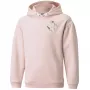 PUMA Alpha Hoodie FL jaunimo gobtuvinis megztinis šviesiai rožinis 164 dydis