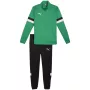 PUMA vyriškas treniruočių kostiumas Team Rise pilnas užtrauktukas žalia/juoda, dydis XL