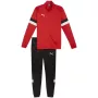 PUMA vyriškas treniruočių kostiumas Team Rise raudonas/juodas, dydis M