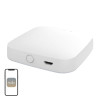 MOES ZHUB-W ZigBee/Wi-Fi tinklų šliuzas