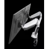 ROCKSTABLE RS-MM011W Profesionalus Dvigubo Monitoriaus Laikiklis - Gnybtas / Grometas - 16 kg - 38,1 cm (15 inch) - 81,3 cm (32 inch) - 100 x 100 mm - Baltas