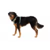 Ruffwear Front Range Harness XS – River Rock Green
