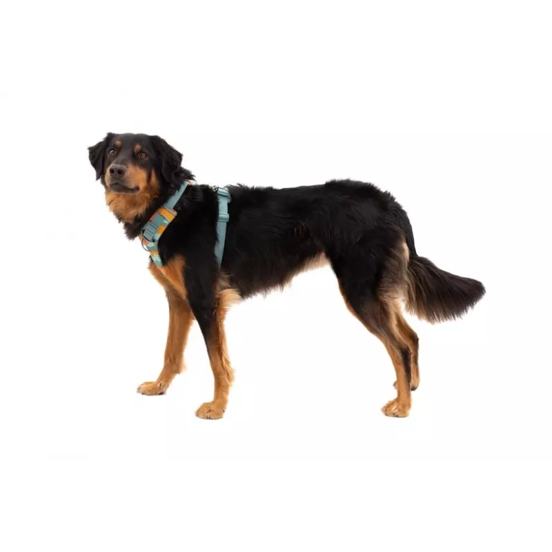 Ruffwear Front Range Harness XS – River Rock Green