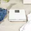 Salter 9075 WFEU12 Max elektroninės svarstyklės, baltos