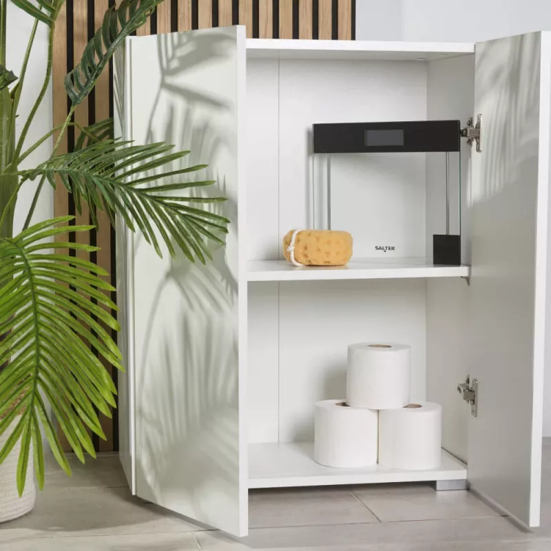 Salter SA00078BCFEU12 skaidrių elektroninių stiklinių svarstyklių modelis