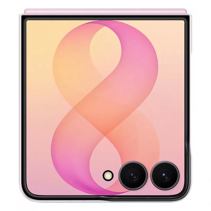 Samsung Clear Magnet Case Galaxy Z Flip8 permatomas