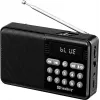 SANDBERG Speaker Radio FM+BT Recharge nešiojamas Bluetooth garsiakalbis su FM radiju, AUX, USB, MicroSD, 6W, juodos spalvos