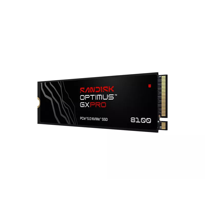 SanDisk vidinis SSD Optimus GX PRO 8100, 4TB (00233410)