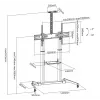 SBOX FS-3610 Grindinis LED televizoriaus stovas, 60–100 col., 100 kg