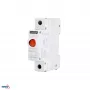 SCHELINGER A15-SL8-CZ raudonas LED signalinis žibintas, 230V AC, 22 mm montavimas į skydą, IP65