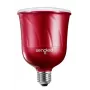 Sengled Pulse Master Red išmanioji LED lemputė su JBL garsiakalbiu, 600 liumenų, 2700K, BR30, E26