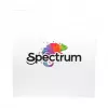 Spectrum PLA Premium 3D Filament 1,75mm Silver Star 1kg