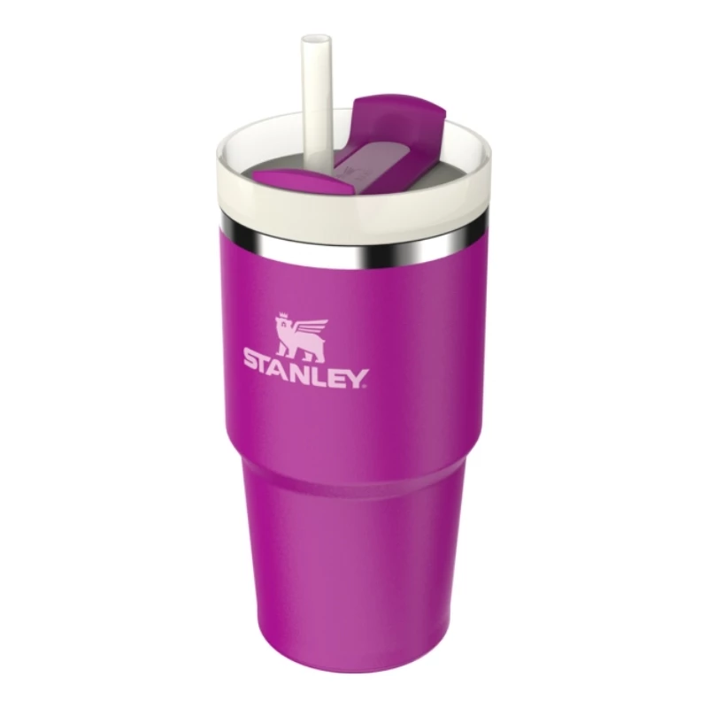STANLEY The Quencher H2.O FlowState gertuvė su šiaudeliu 0,59L Purple