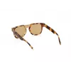 WEB EYEWEAR vyriški akiniai nuo saulės WE0315-0041F (Lęšis/Mostelė/Kojelė) 00/0/145 mm