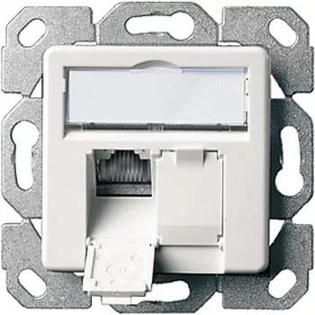 Telegärtner AMJ45 8/8 K Up/50 Cat.6A įleidžiama duomenų rozetė, 2x RJ45, ekranuota, perlamutrinė balta RAL 1013 J00020A0501